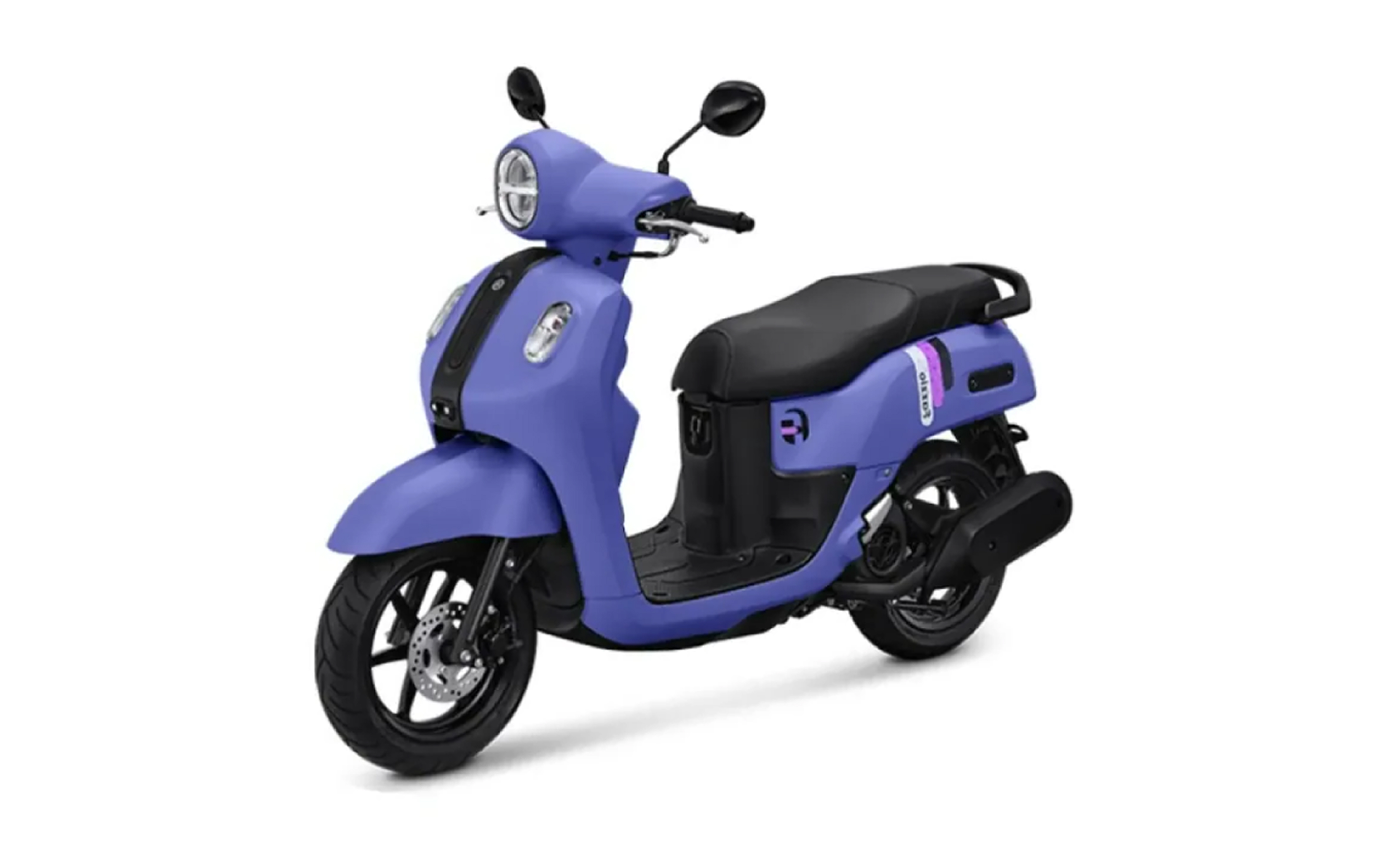 Fazzio Neo 2026 lila